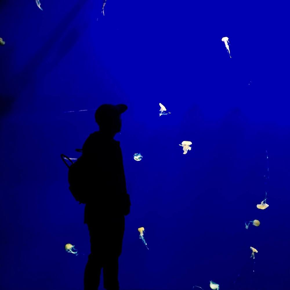 Meet your Posher, Seth